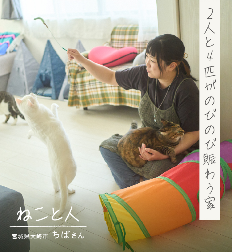ねこと人